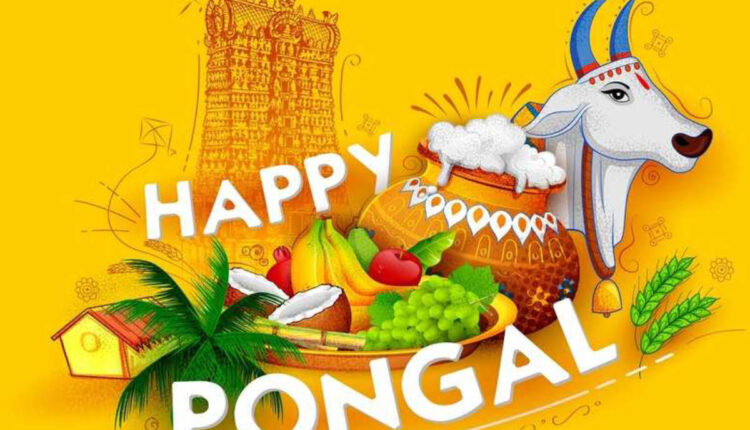 பொங்கல் திருநாள்