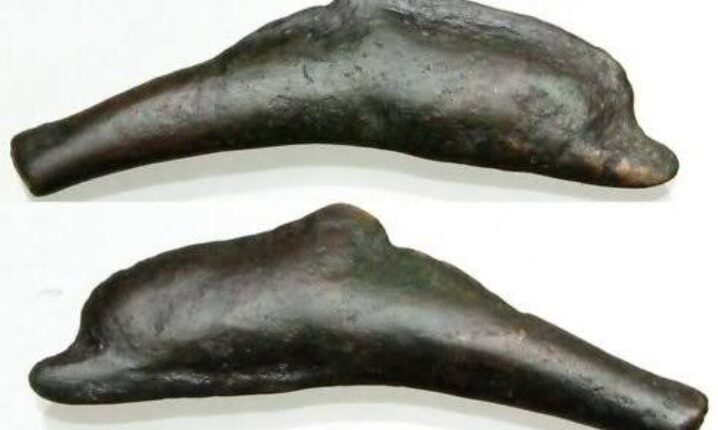 டால்பின் வடிவ வெண்கல நாணயங்கள் !