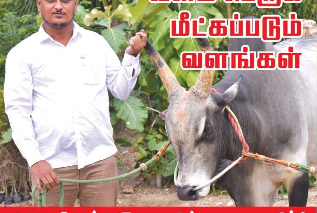 September 1-15 (2021)