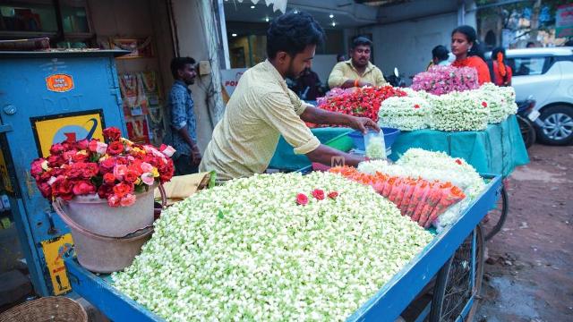 மல்லிகை பூ